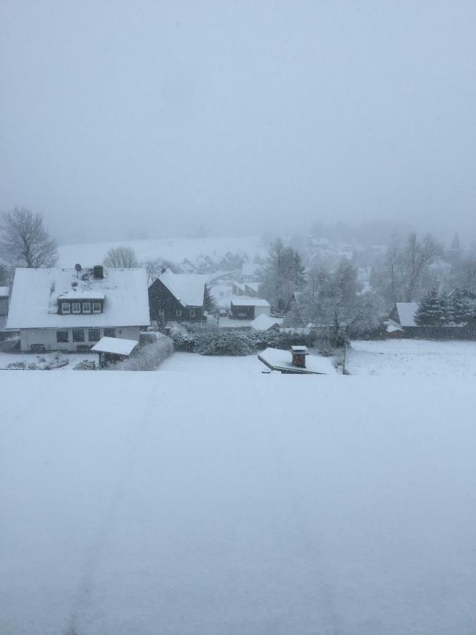 Appartement Dalzicht Geschikt Voor 4 Tot 5 Volwassenen Of 4 Volwassenen Plus 2 Kinderen Winterberg Esterno foto